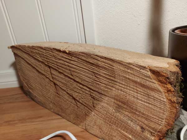 Dense Wood Log